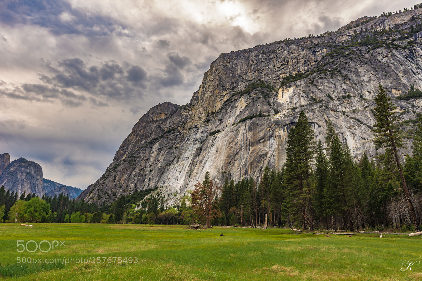 Nikon D7200 sample photo. Yosemite national park photography