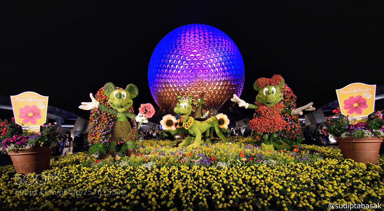 Nikon D7200 sample photo. Spaceship earth, the icon photography