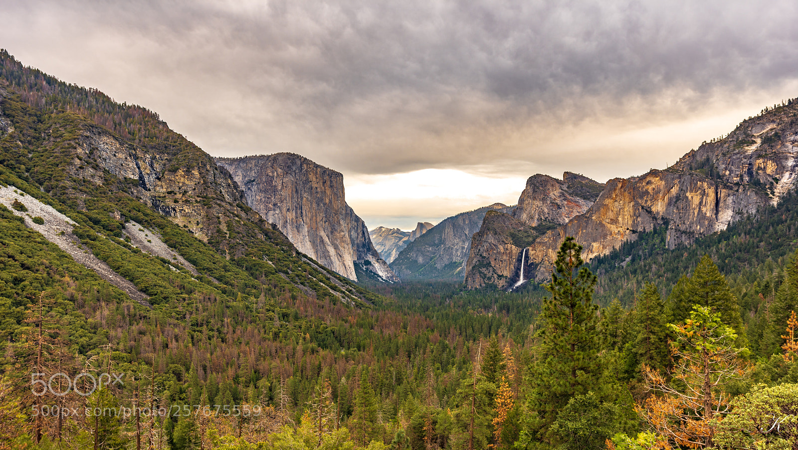 Nikon D7200 sample photo. Yosemite national park photography