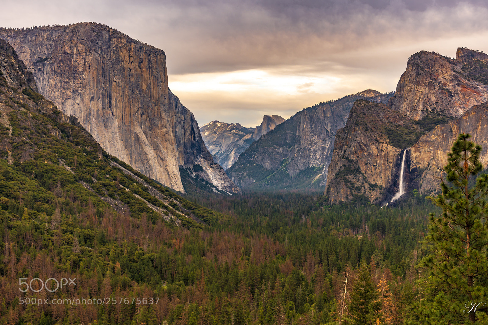 Nikon D7200 sample photo. Yosemite national park photography