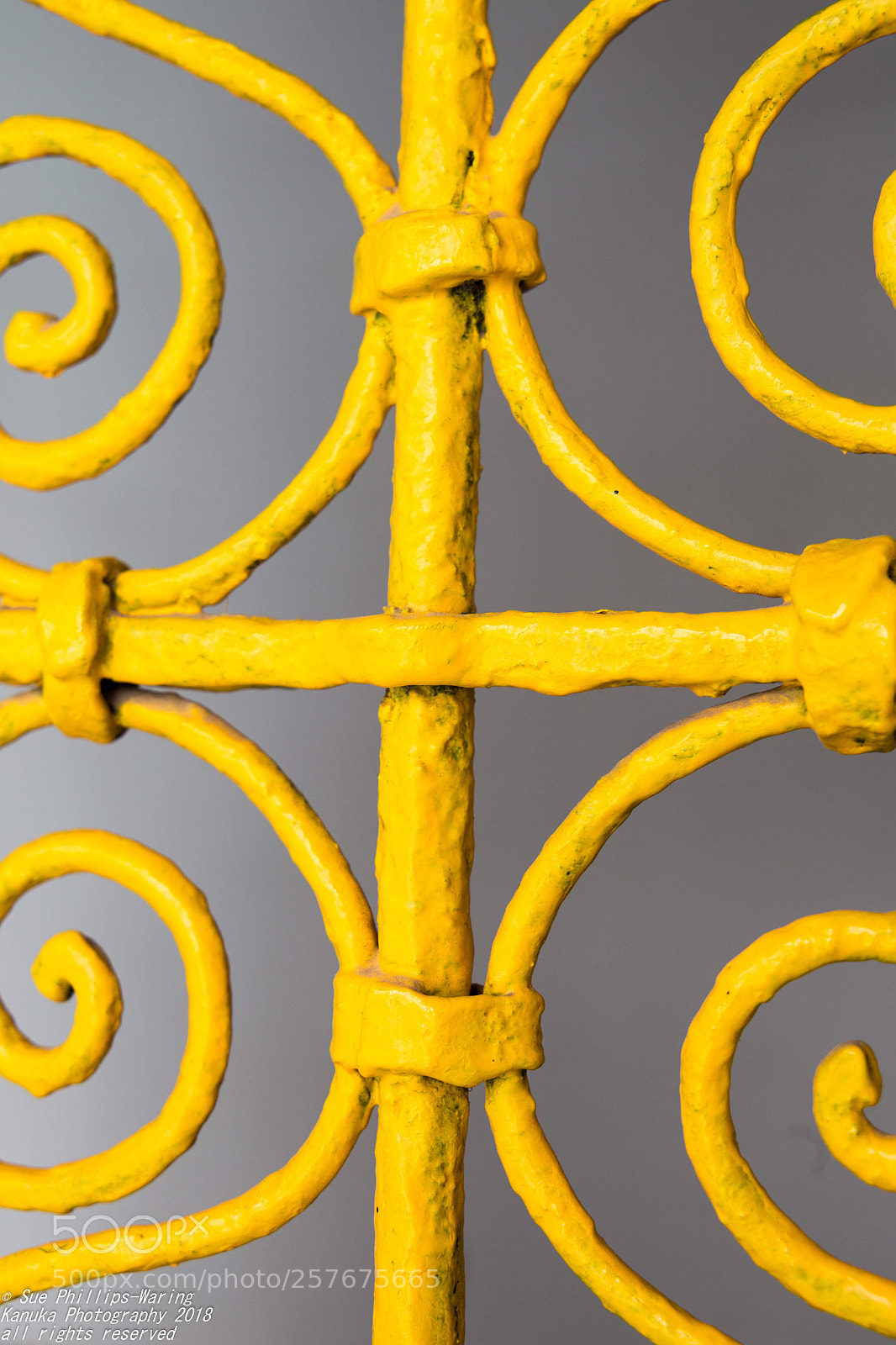 Canon EOS 6D sample photo. The colour yellow photography