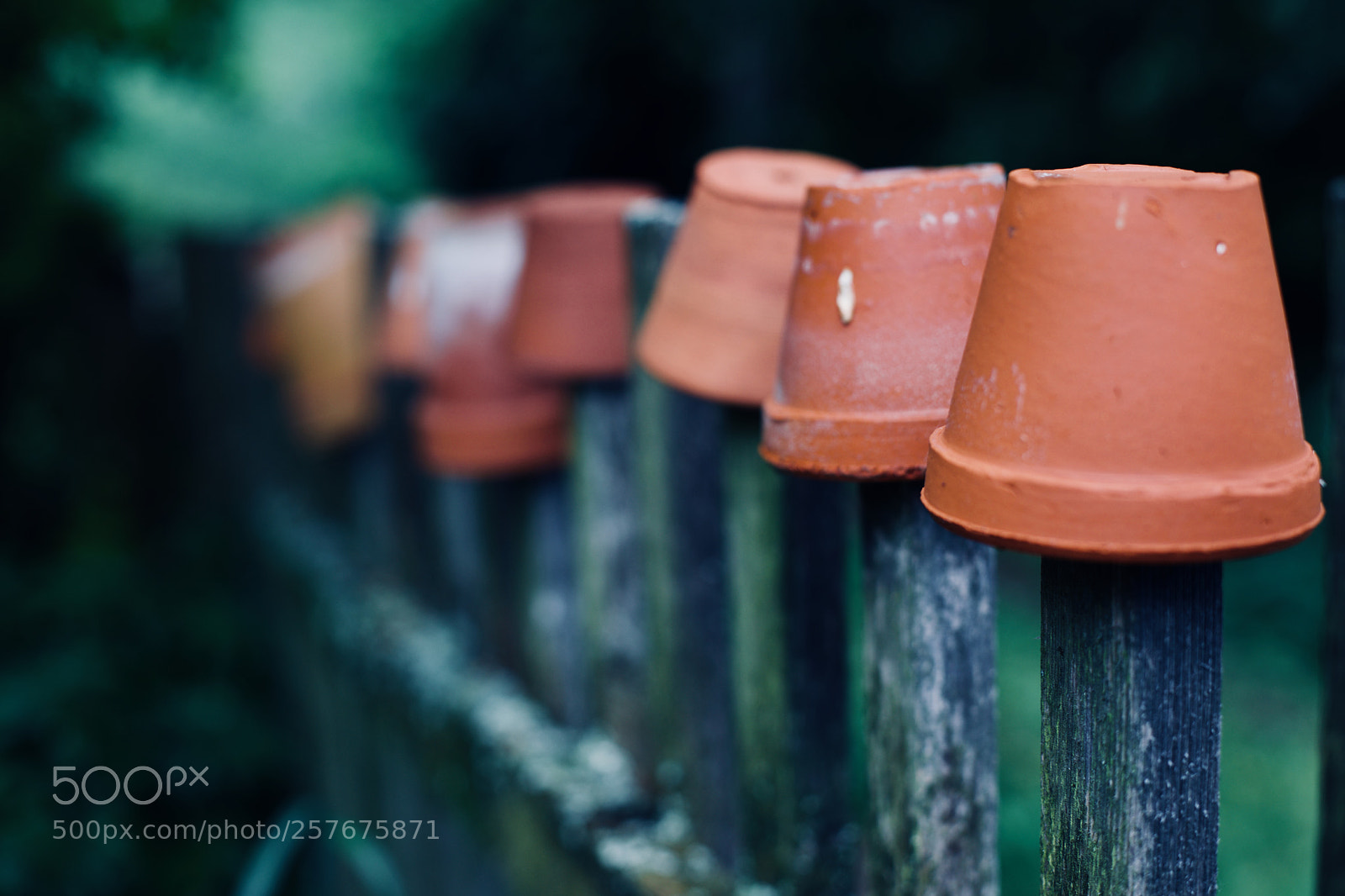 Canon EOS 5D Mark IV sample photo. Potts photography
