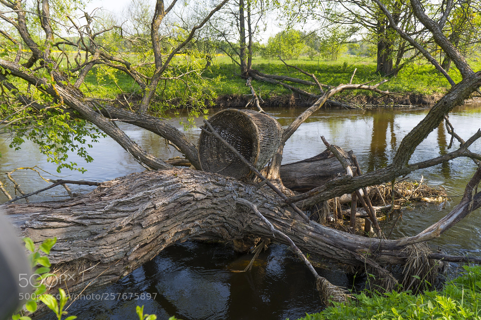 Sony a6500 sample photo. Буч photography