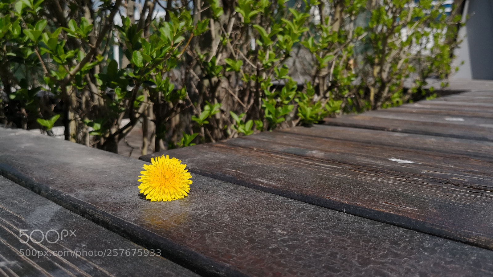 HUAWEI Mate 10 Pro sample photo. Untitled photography