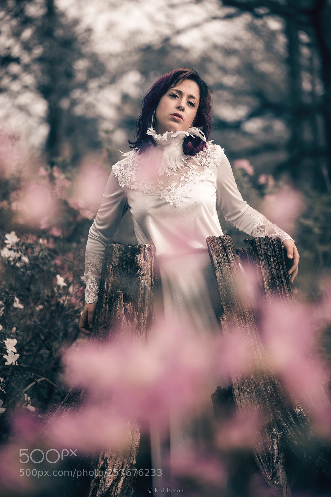 Nikon D610 sample photo. Untitled photography