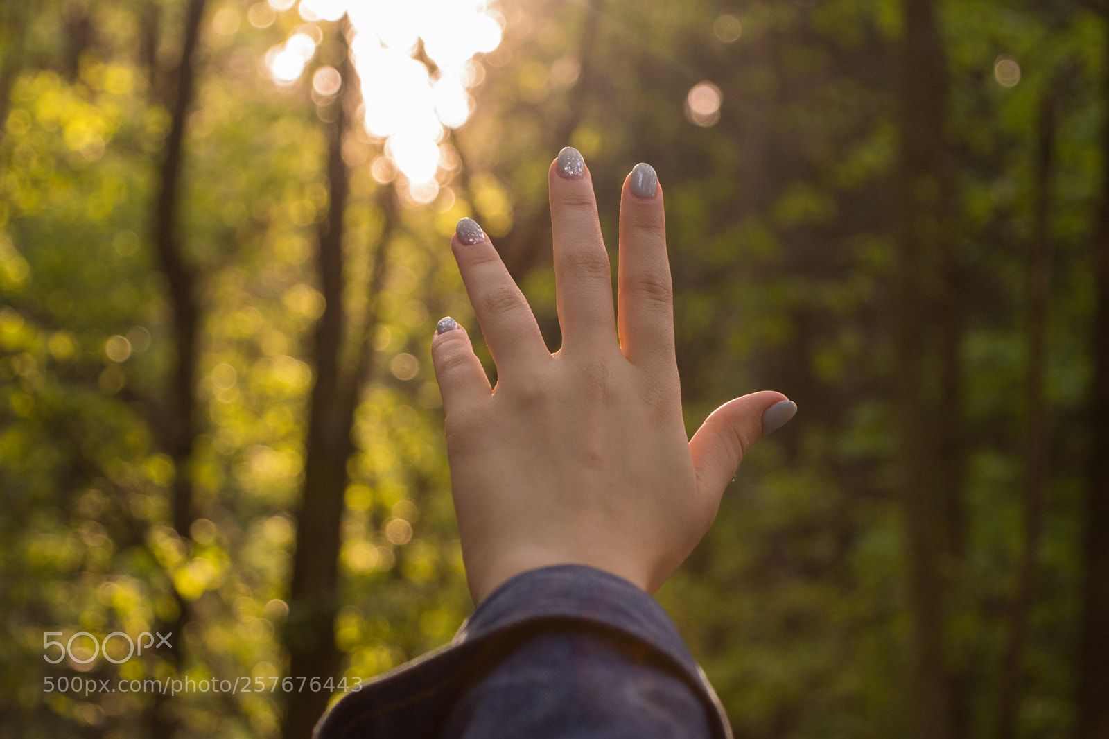 Nikon D3300 sample photo. Touch the sun photography