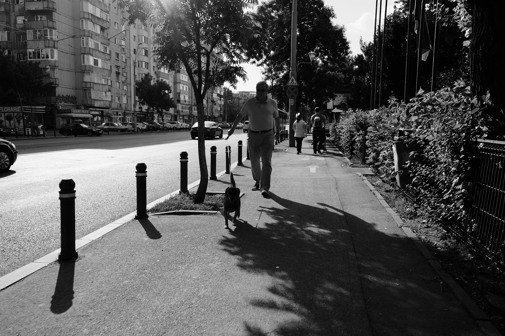 Fujifilm X-E2S sample photo. Sunny afternoon photography