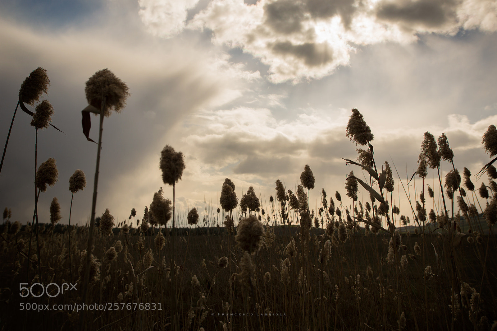 Nikon D3200 sample photo. Under the sky... there photography