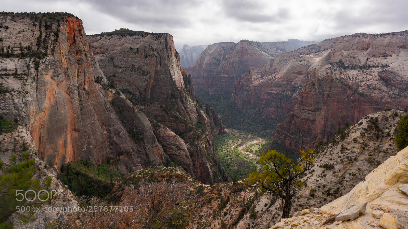 Sony Alpha NEX-6 sample photo. Zion. observation trail. photography