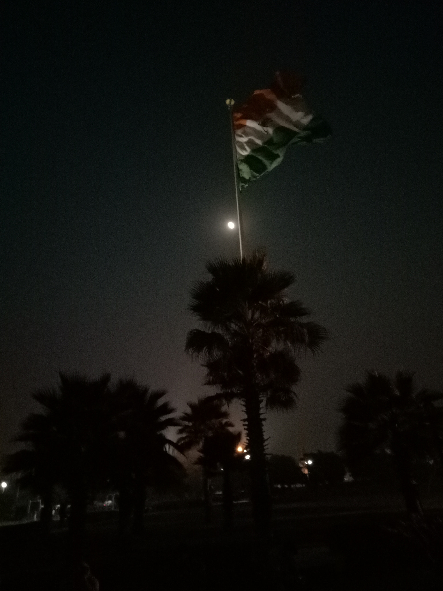 OPPO A1601 sample photo