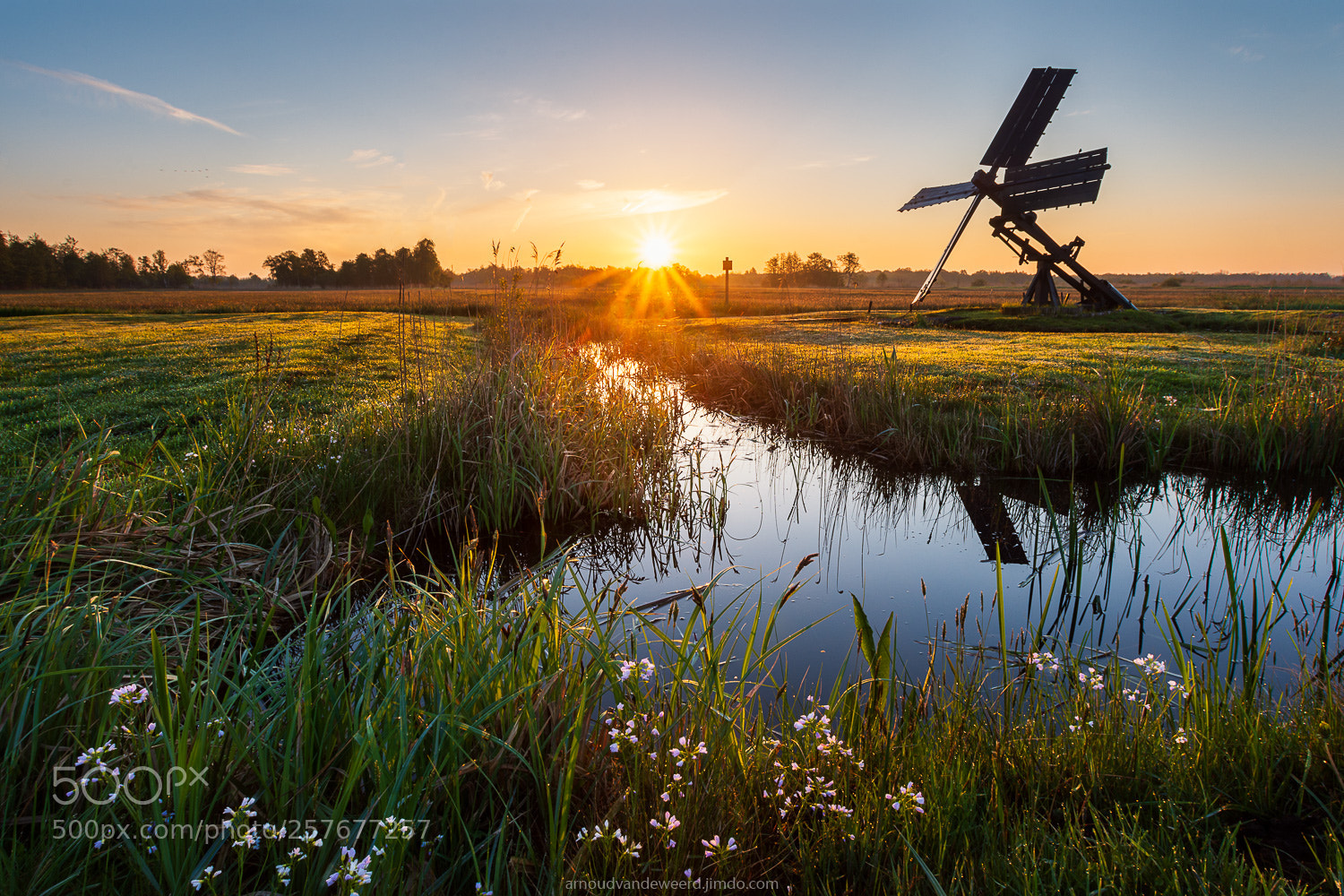Nikon D7200 sample photo. Spring morning photography