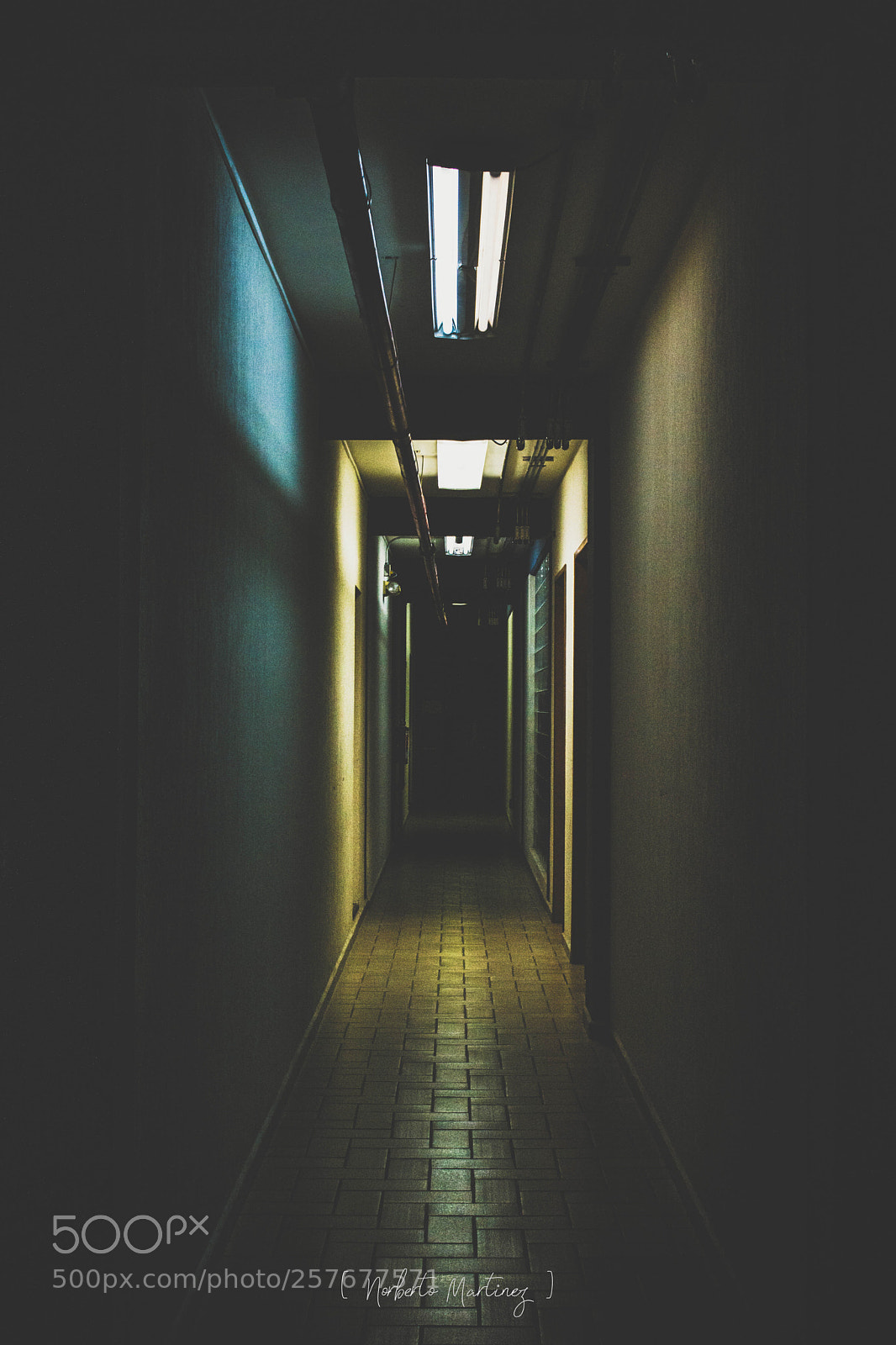 Nikon D5200 sample photo. One way photography