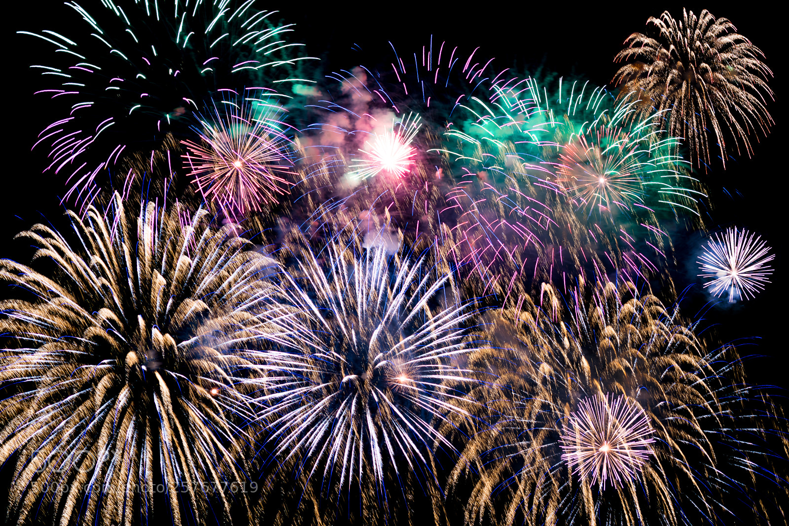 Nikon D810 sample photo. Colorful explosions of festive photography