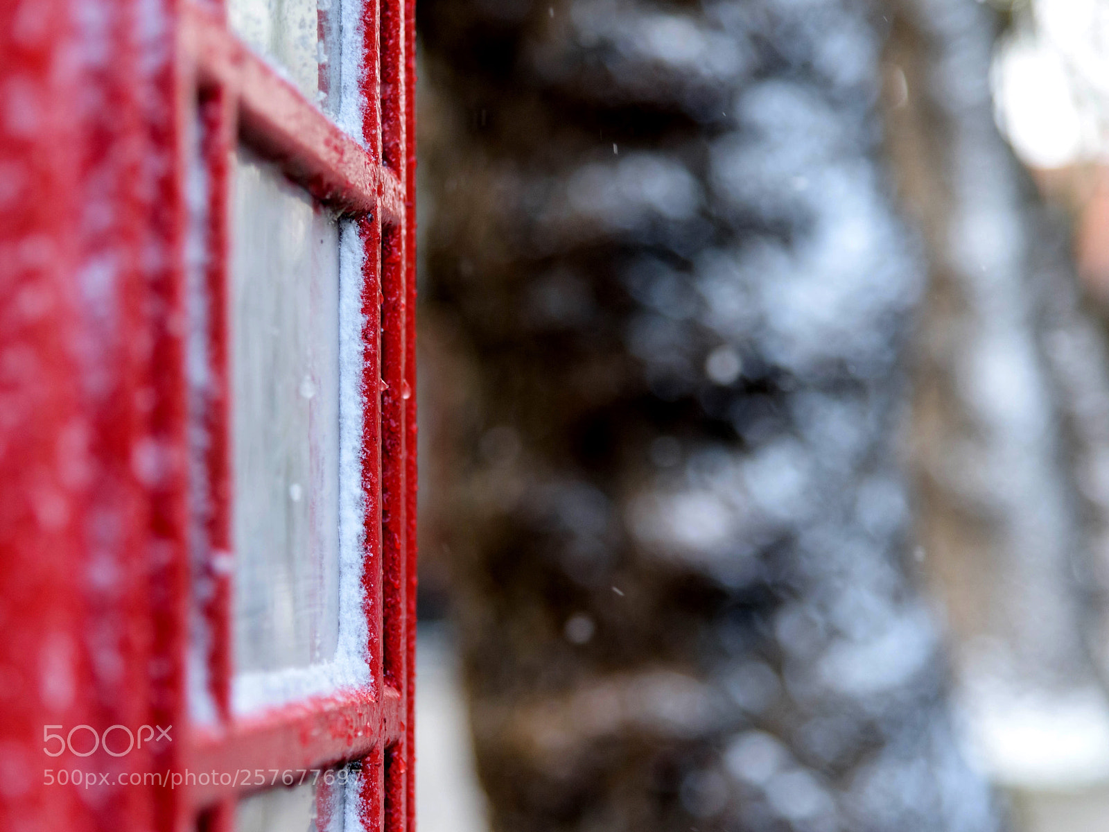 Nikon D810 sample photo. Untitled photography