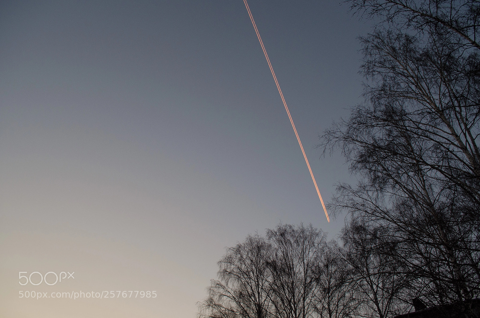 Nikon D5100 sample photo. Airplane line photography