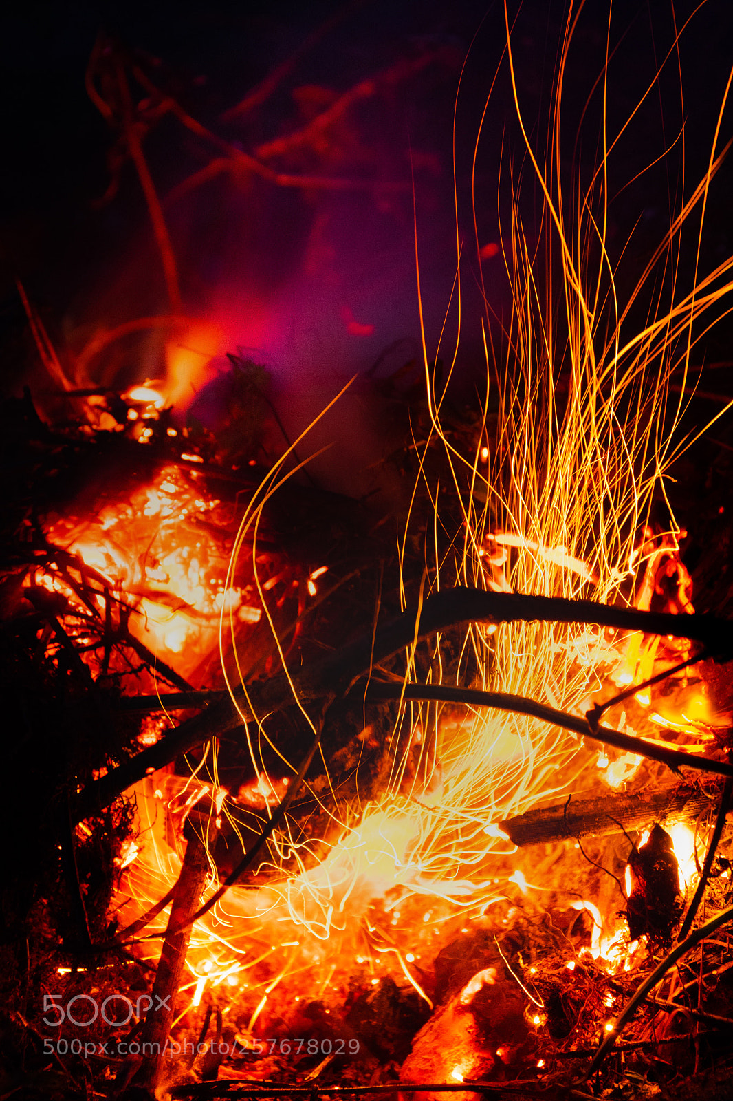 Nikon D7500 sample photo. On fire  photography
