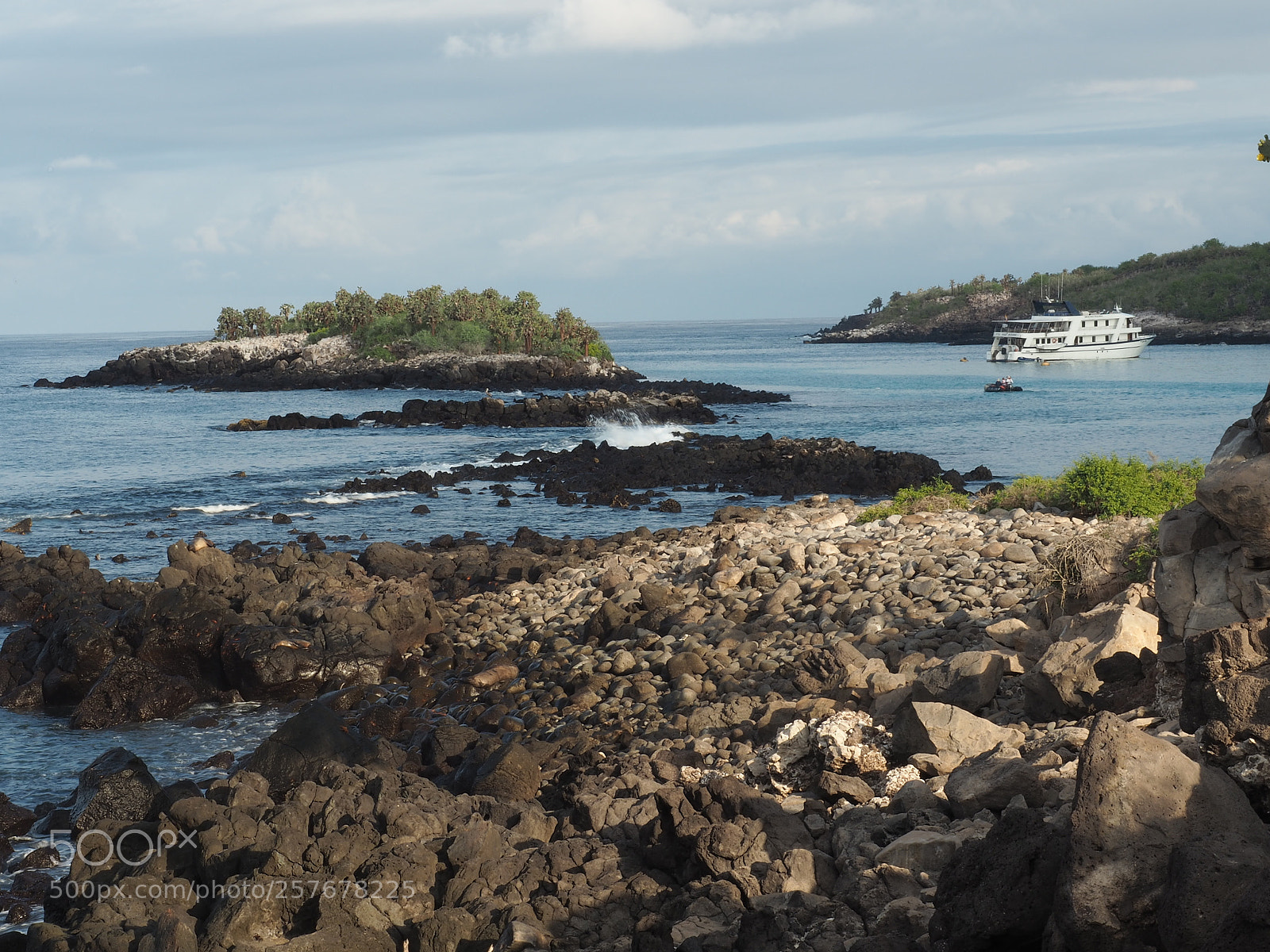 Olympus OM-D E-M5 II sample photo. Galapagos islands photography