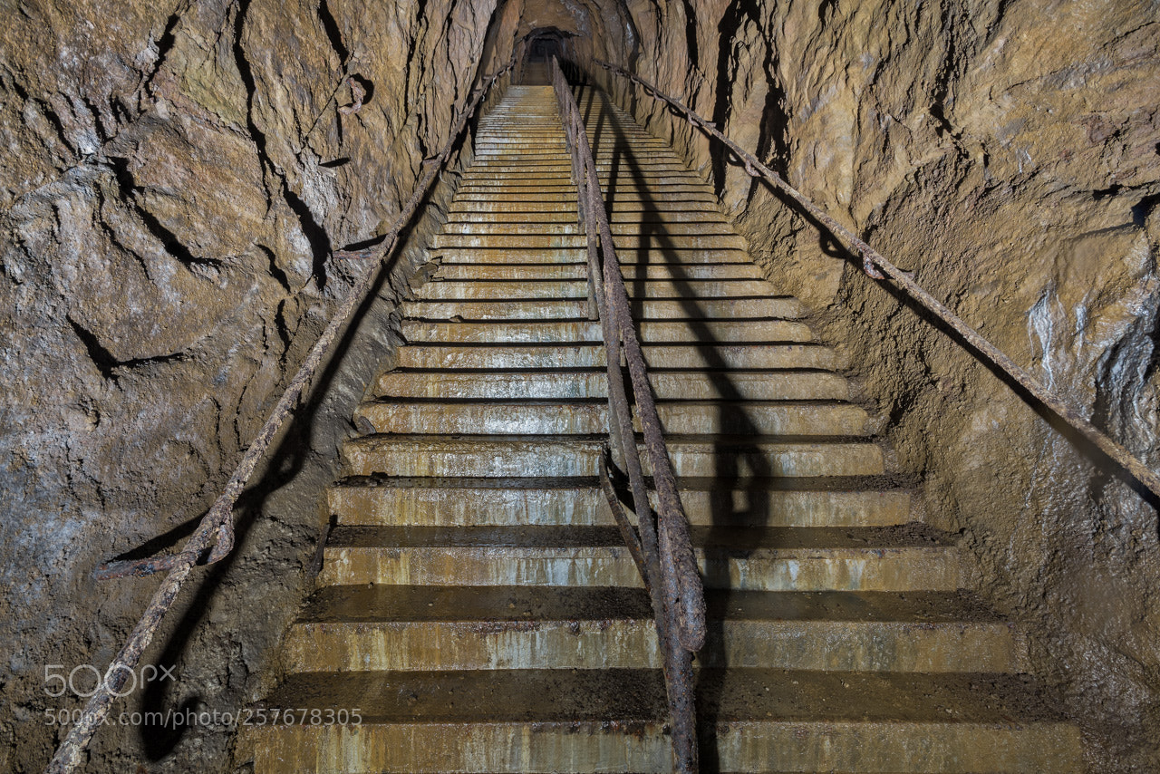 Nikon D600 sample photo. Stairway to heaven or photography
