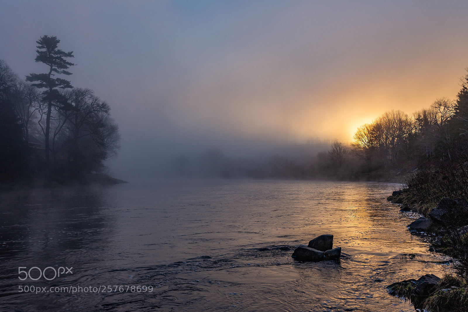 Canon EOS 6D sample photo. Misty magic on the photography