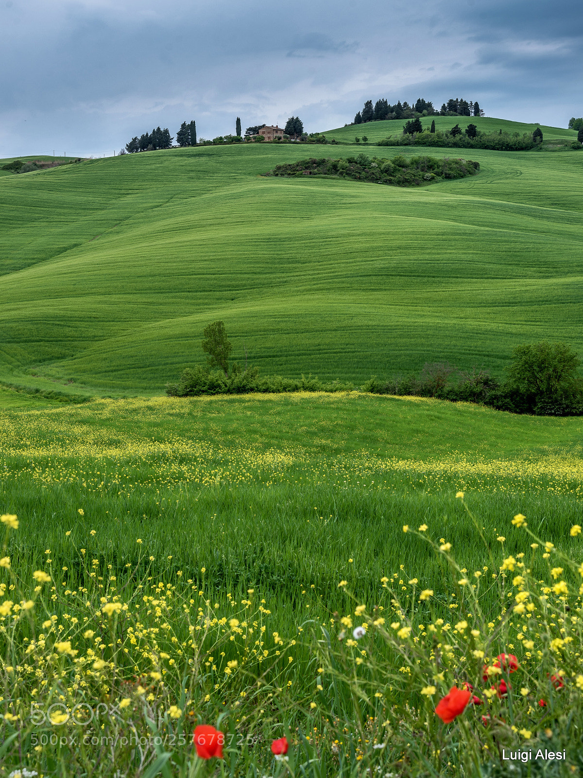 Nikon D750 sample photo. Val d'orcia photography