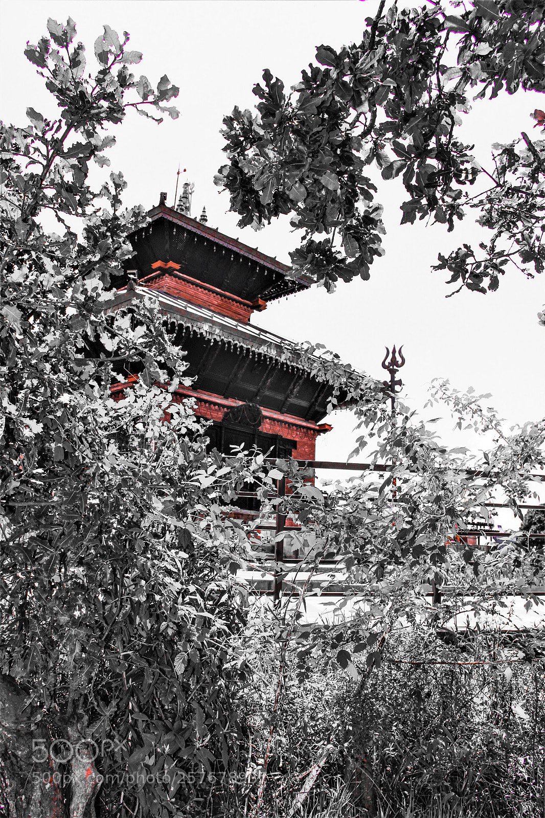 Canon EOS 100D (EOS Rebel SL1 / EOS Kiss X7) sample photo. ? photography