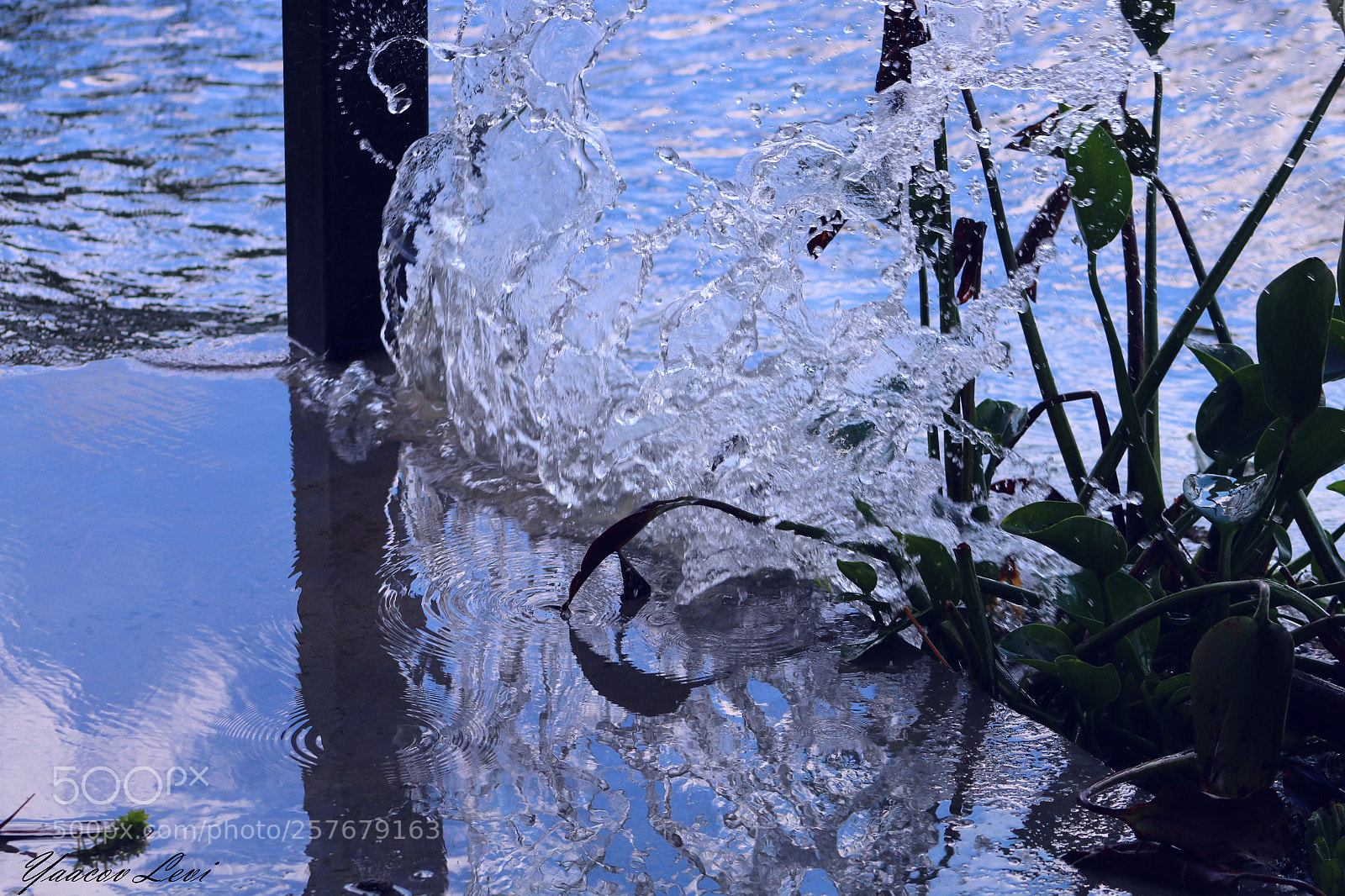 Canon EOS 70D sample photo. Agua photography