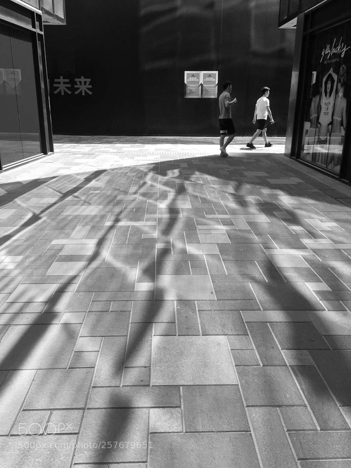 Apple iPhone 6 Plus sample photo. Untitled photography