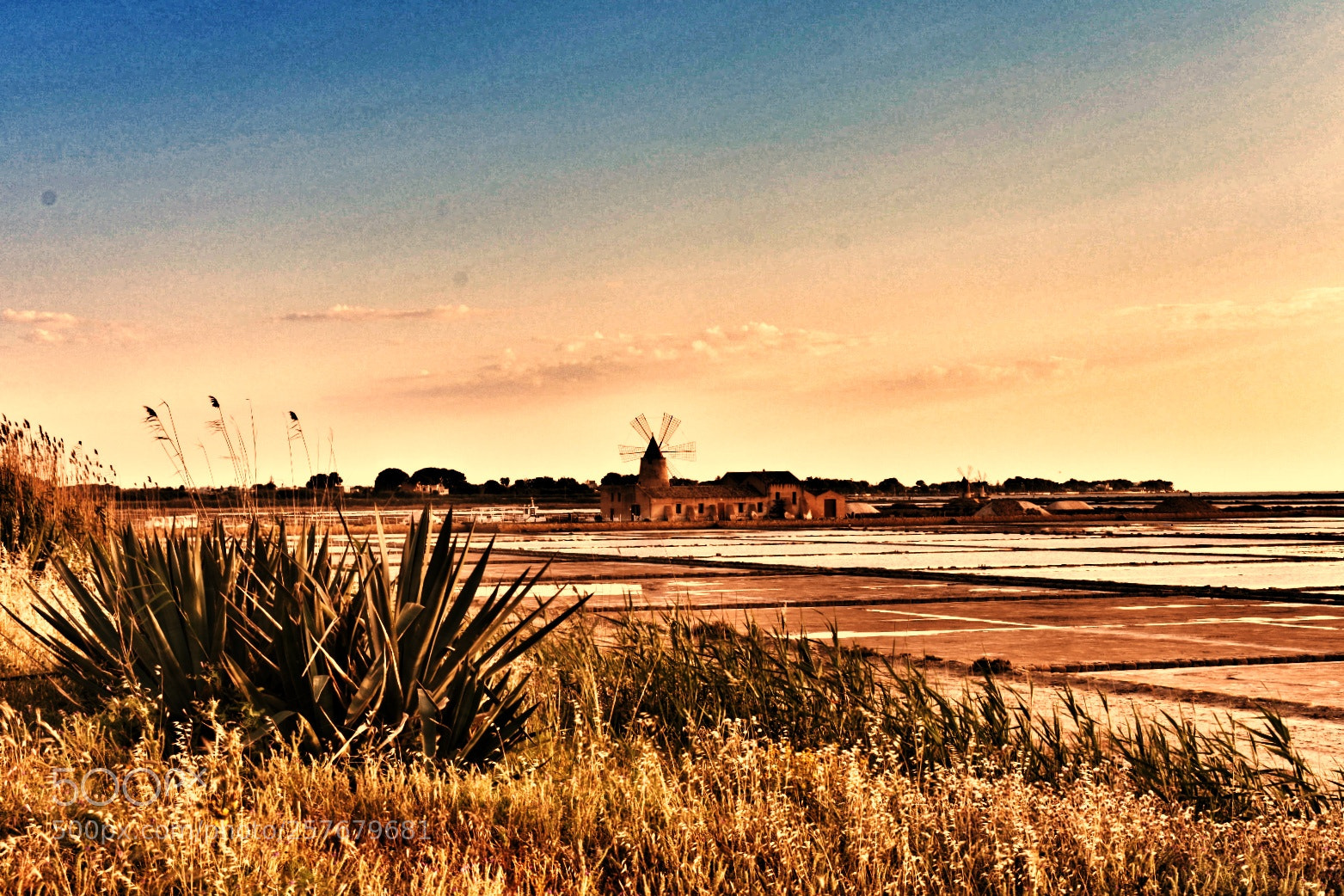 Nikon D3400 sample photo. Windmill and salt photography
