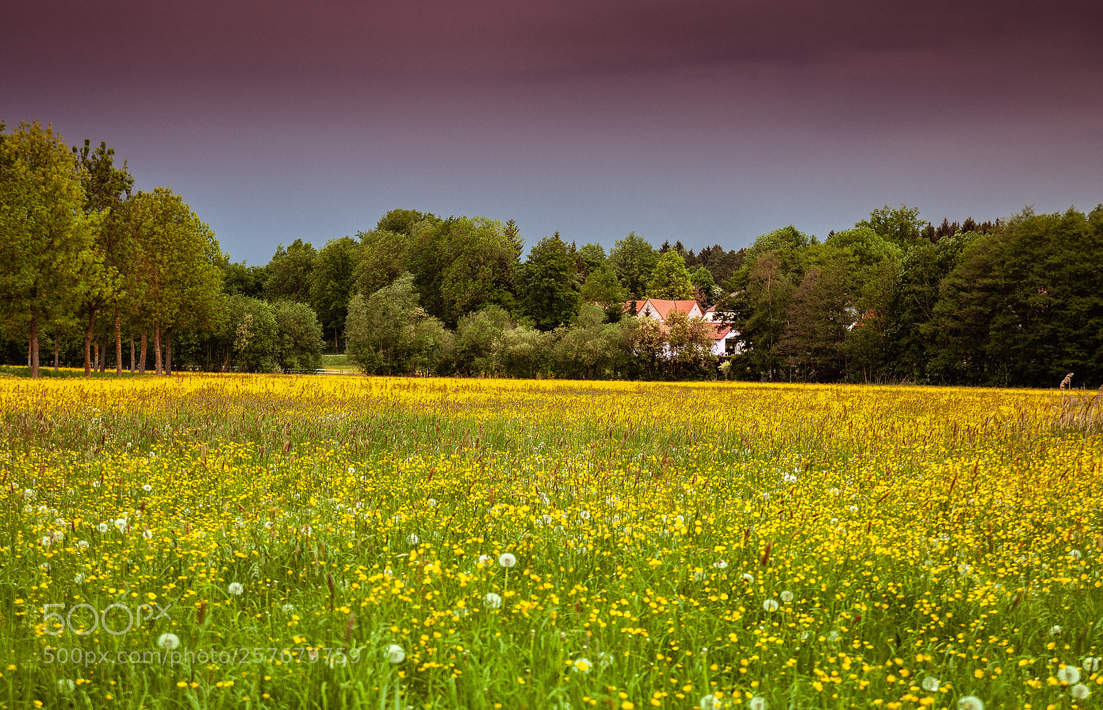 Canon EOS 50D sample photo. Nennslingen_1 photography