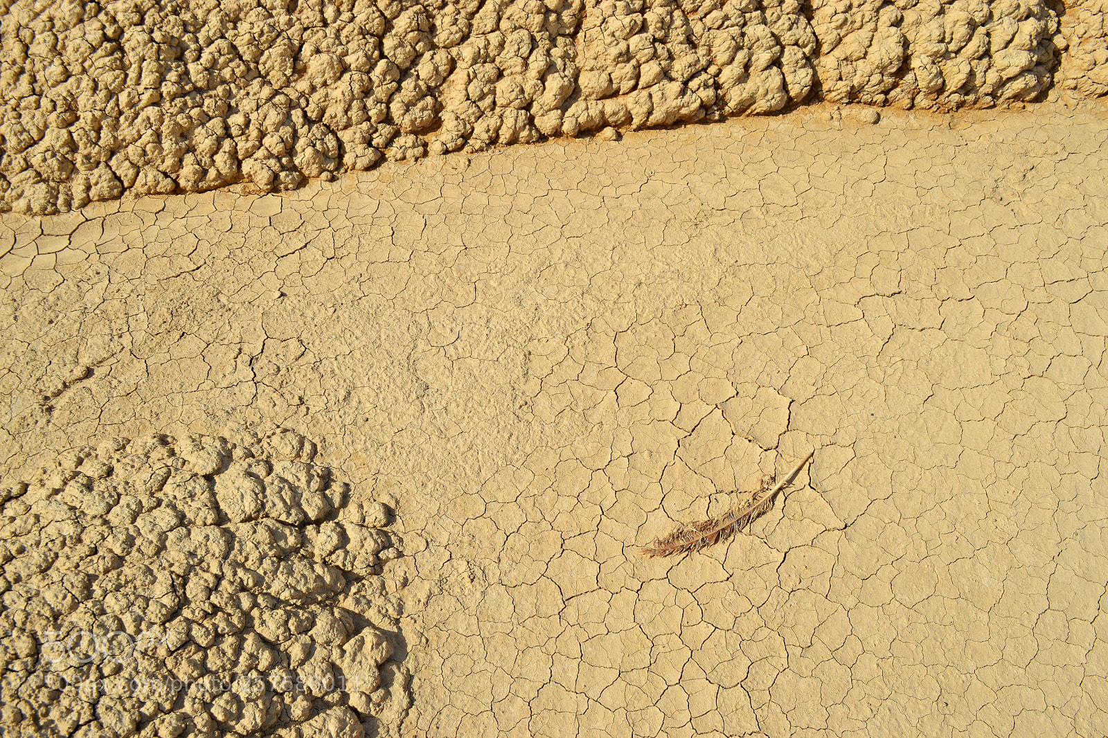 Nikon D3100 sample photo. Fly no more photography