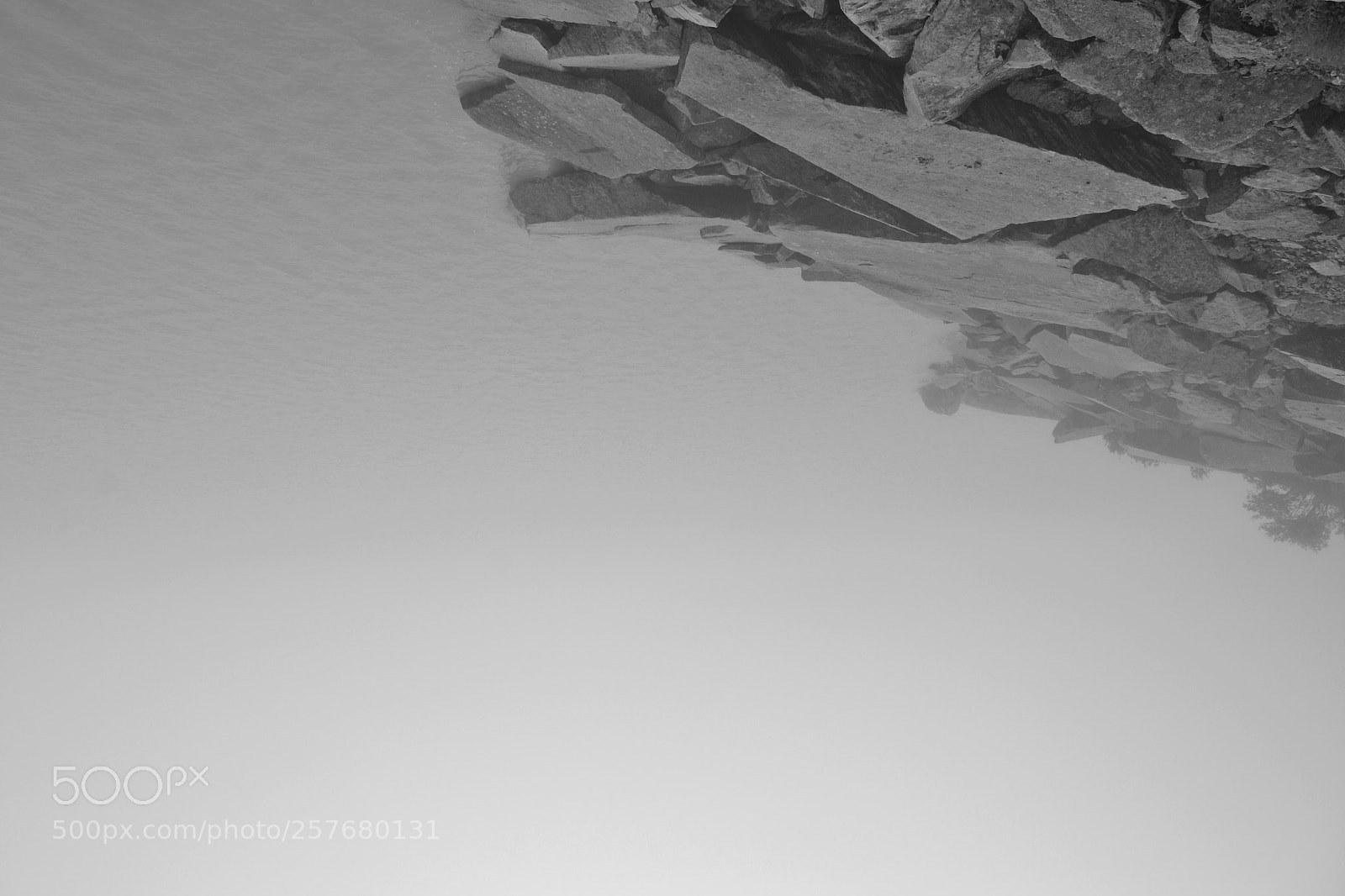 Nikon D3100 sample photo. Fade flip photography