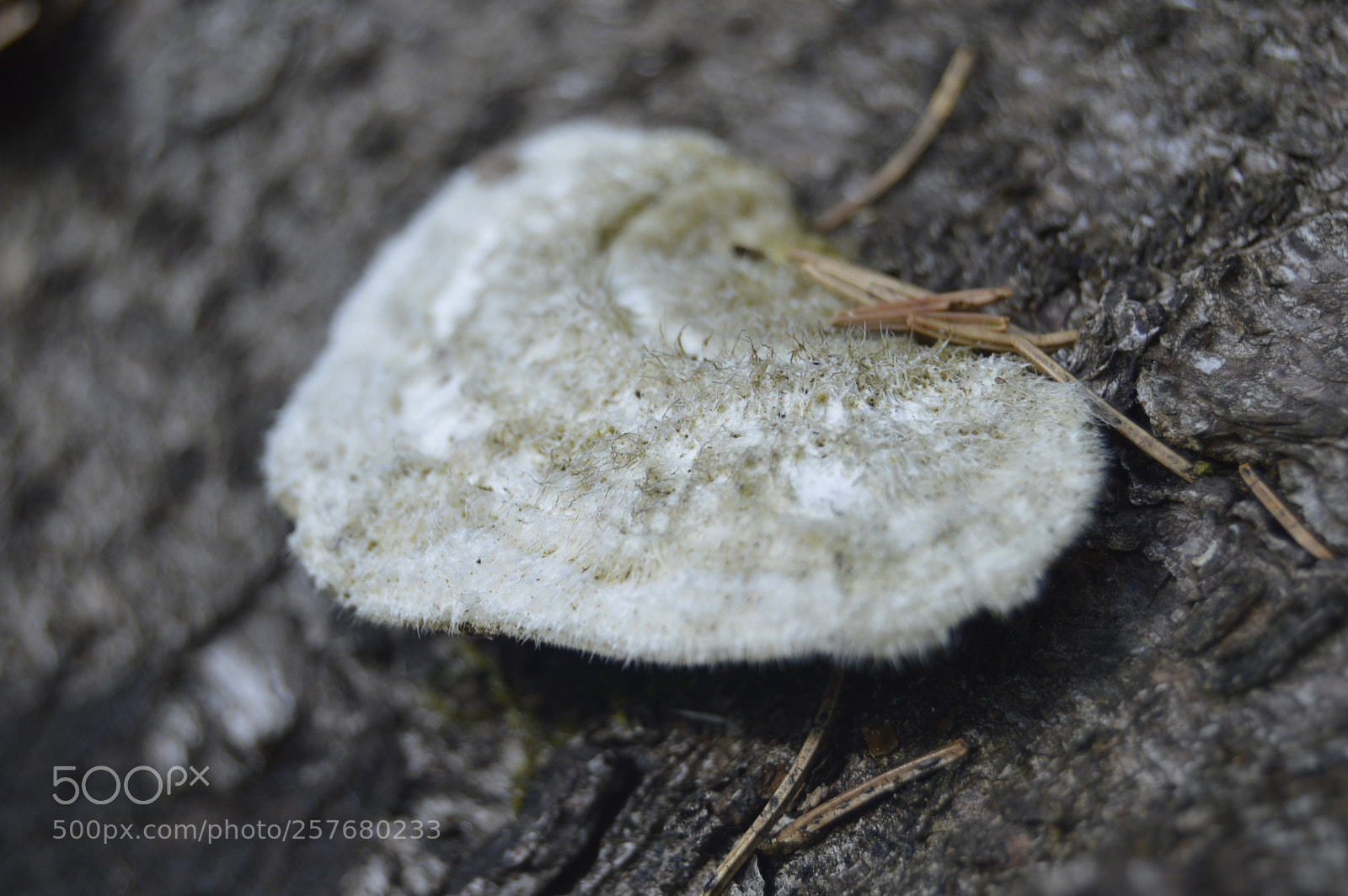 Nikon D3200 sample photo. Skøn natur photography