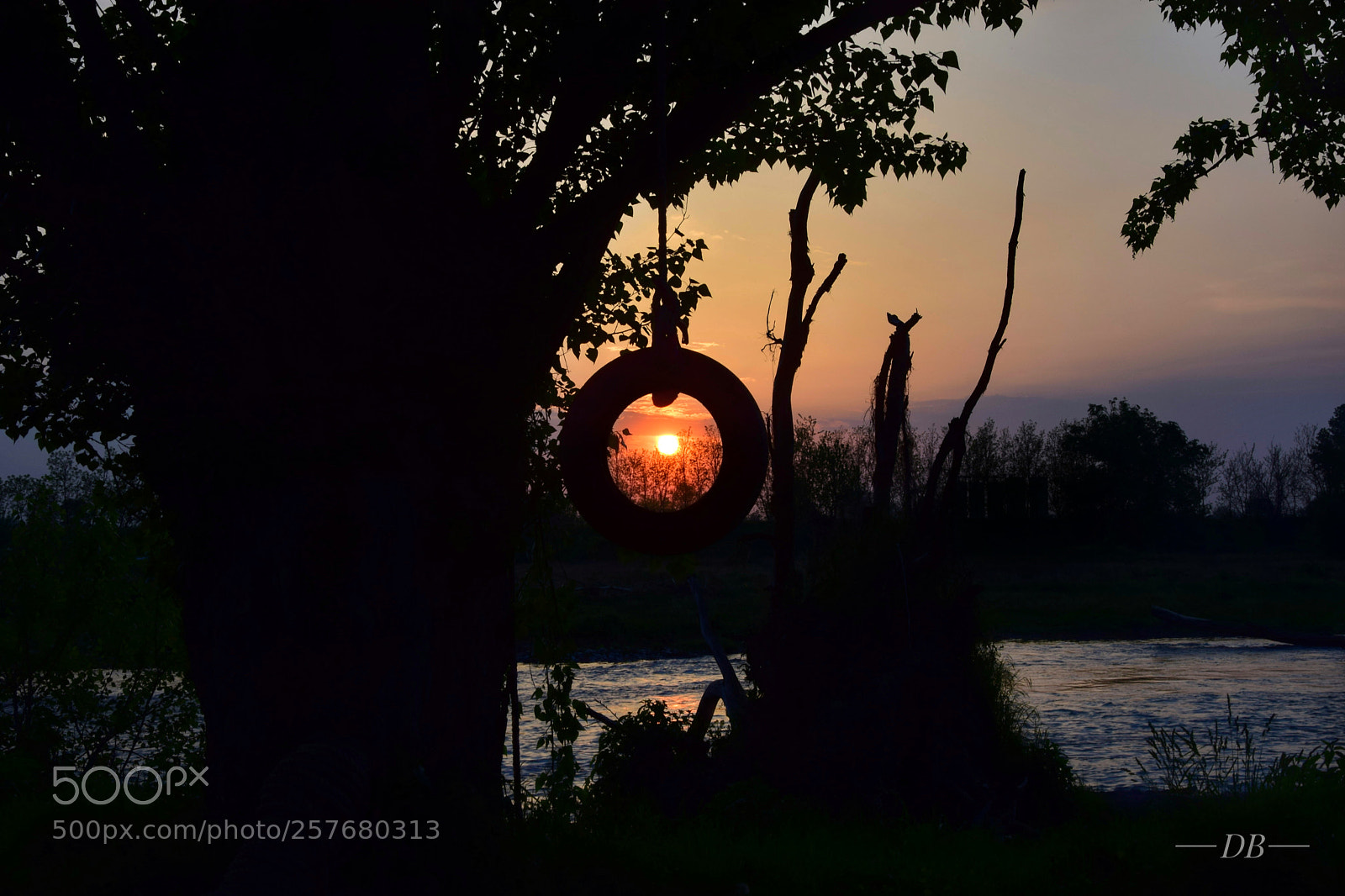Nikon D3300 sample photo. Caught photography