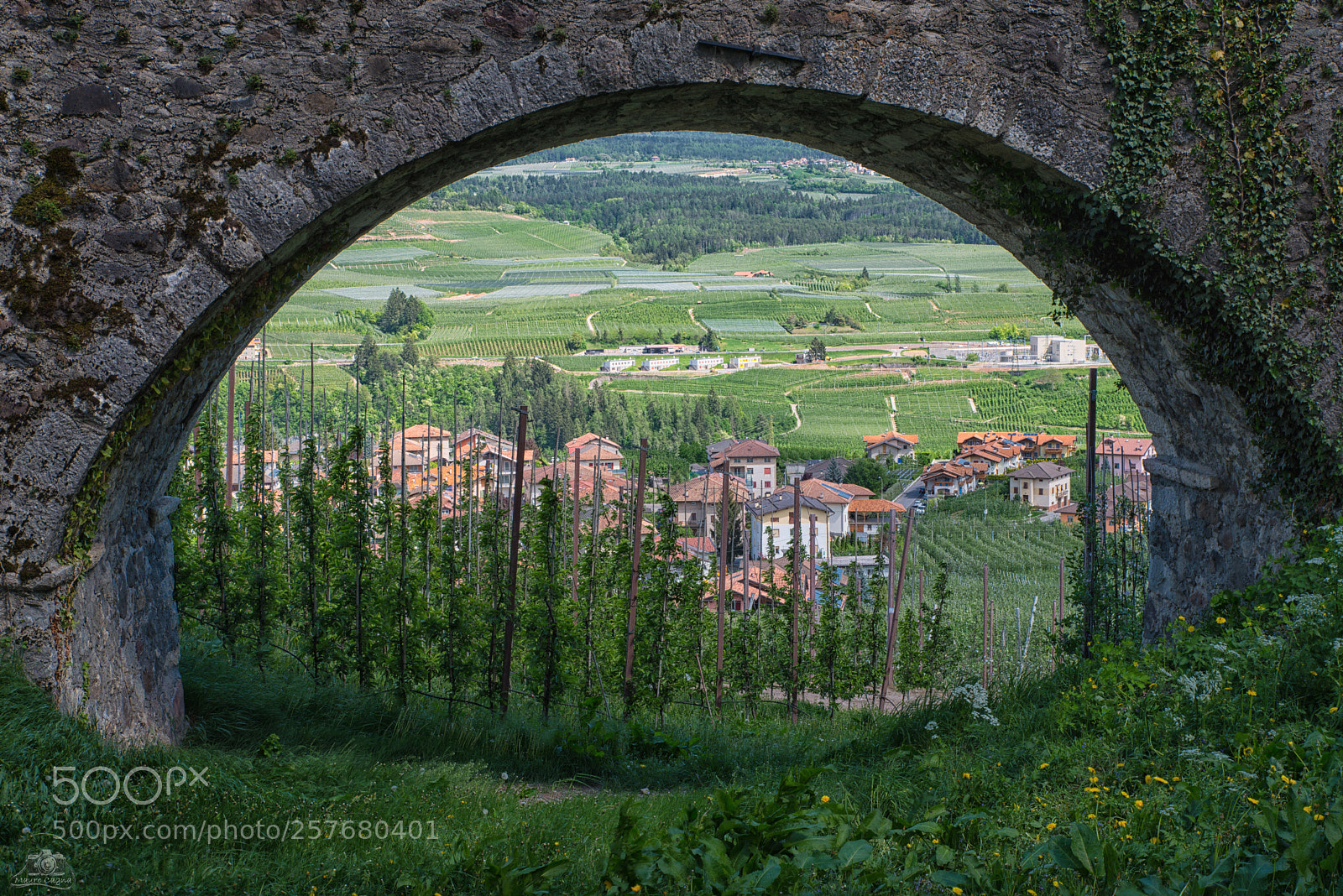 Nikon D800 sample photo. Cartolina della val di photography