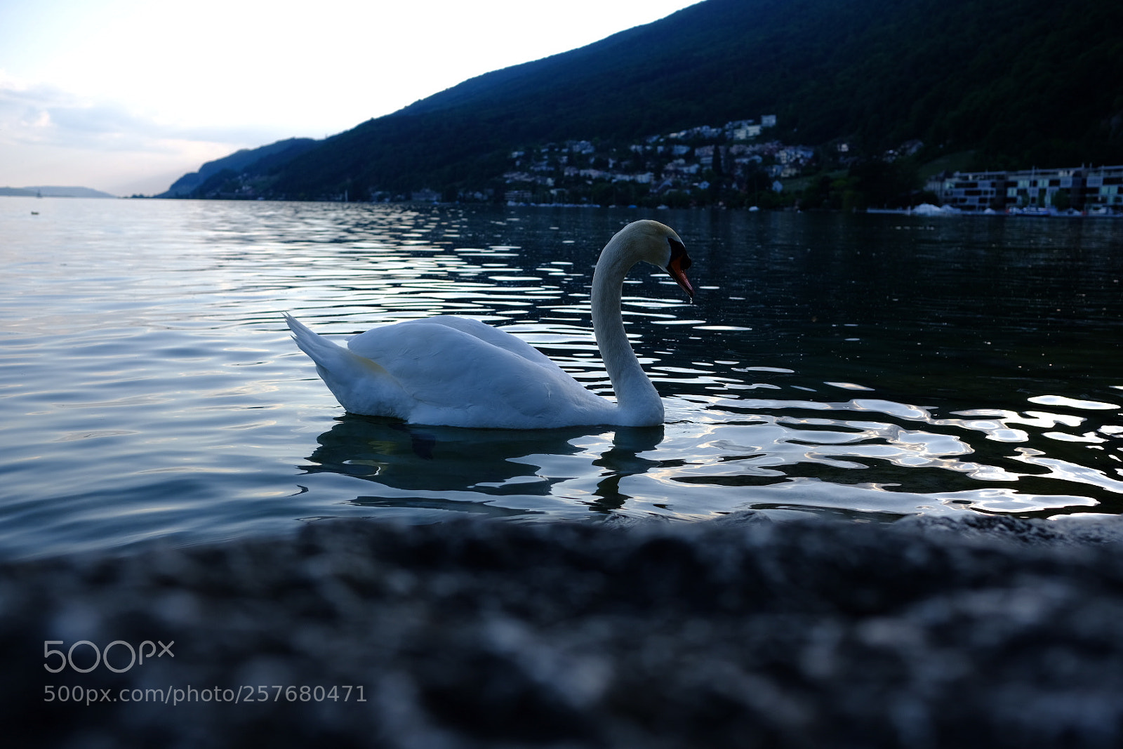 Fujifilm X-E3 sample photo. Bird photography