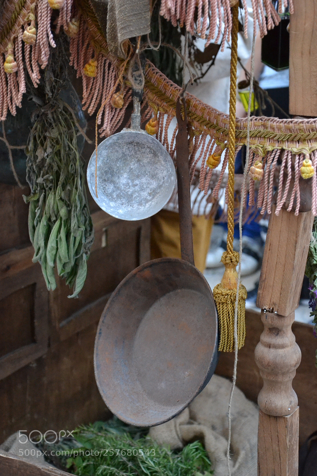 Nikon D3100 sample photo. Untitled photography