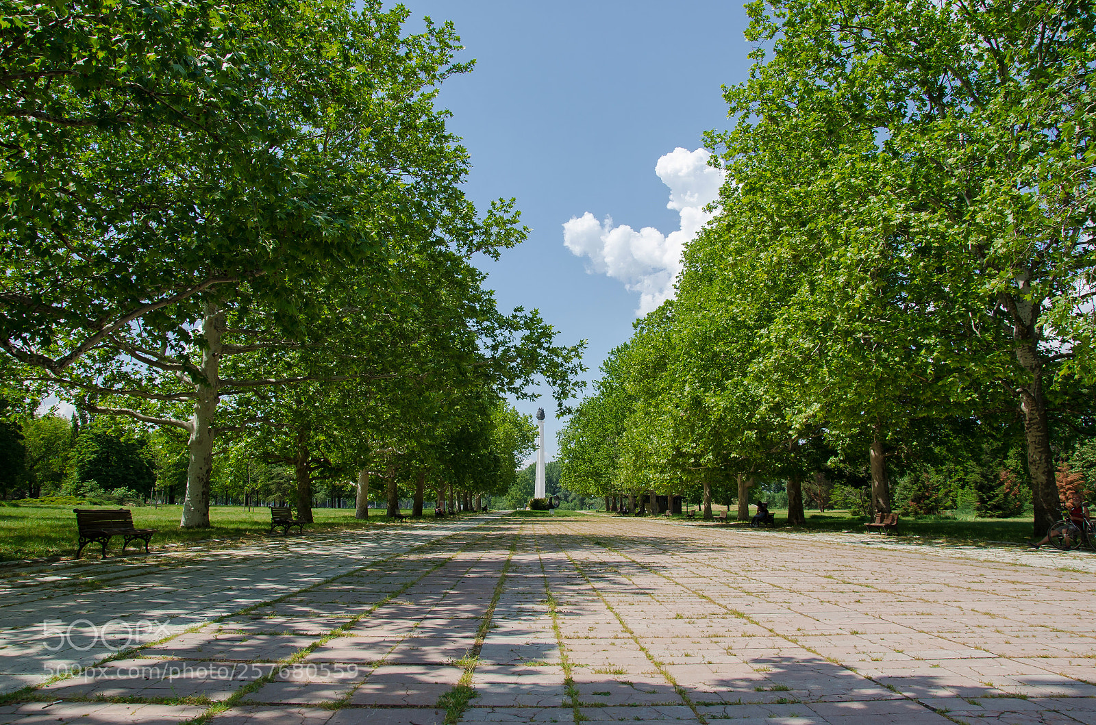 Nikon D7000 sample photo. Park of friendship photography