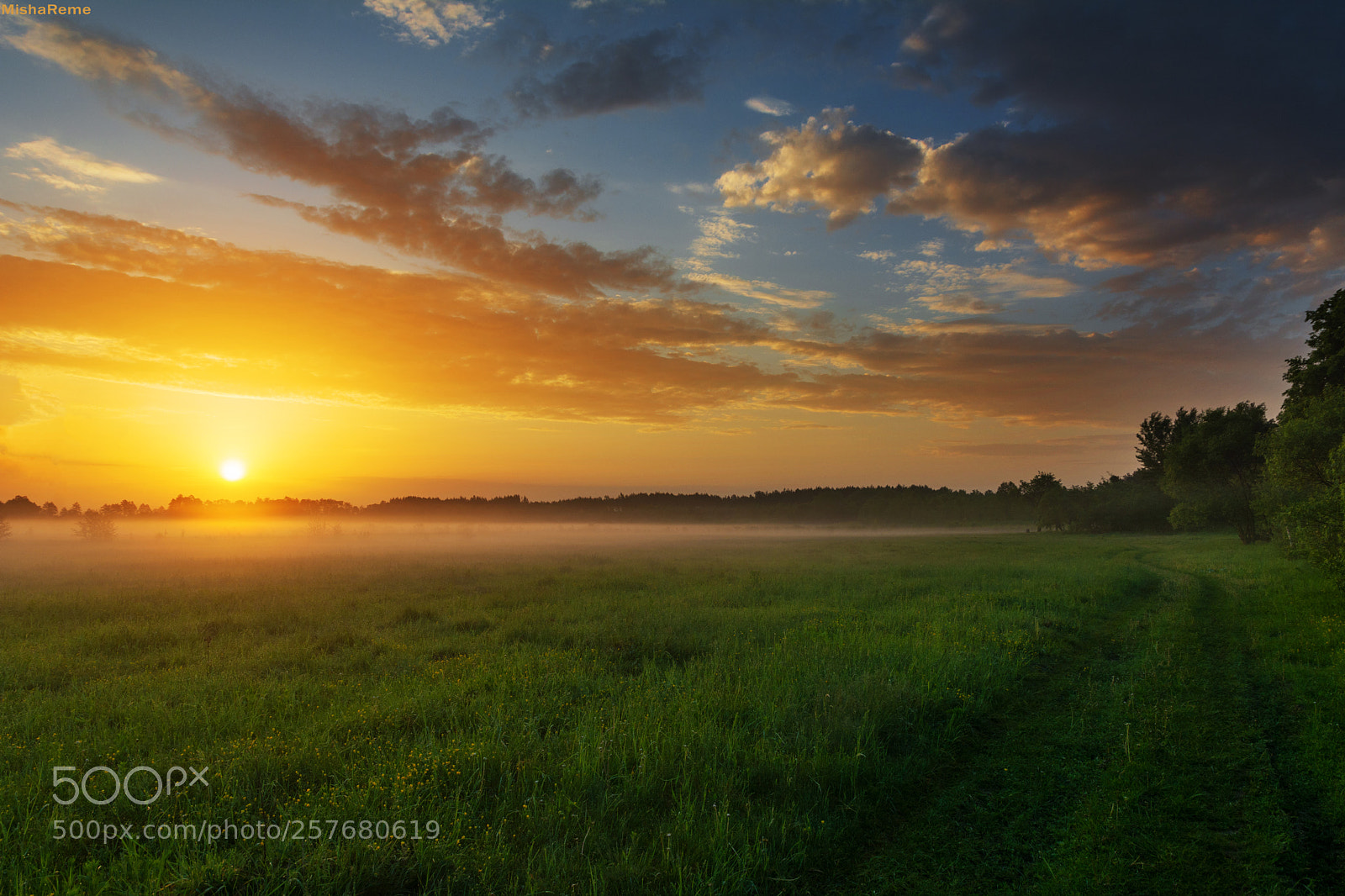 Nikon D7100 sample photo. Spring morning photography