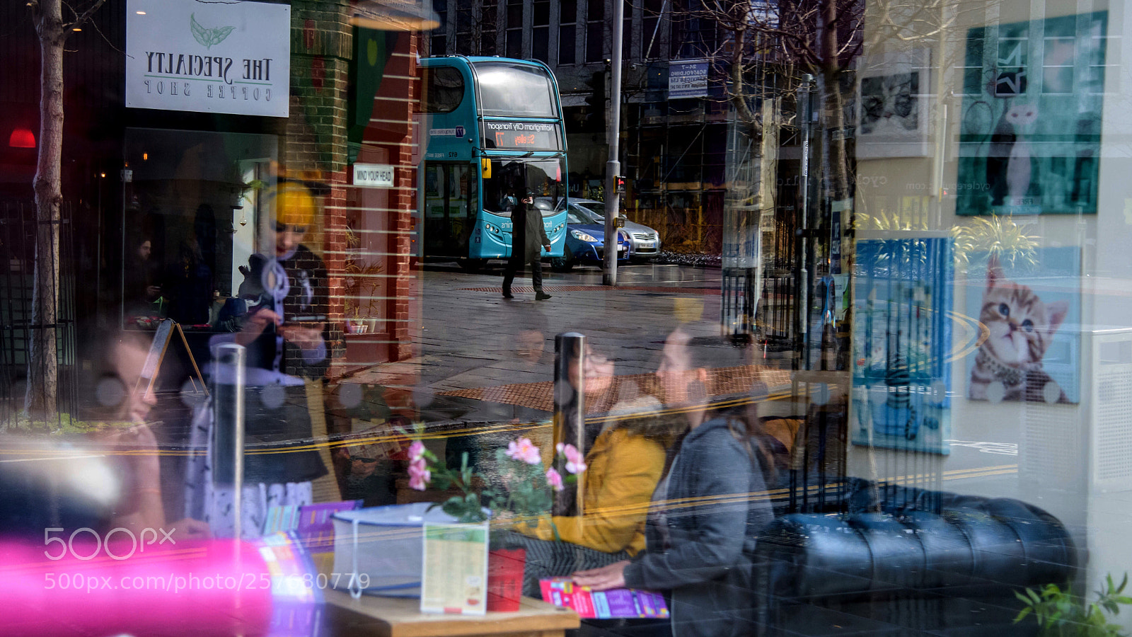 Nikon D810 sample photo. Untitled photography