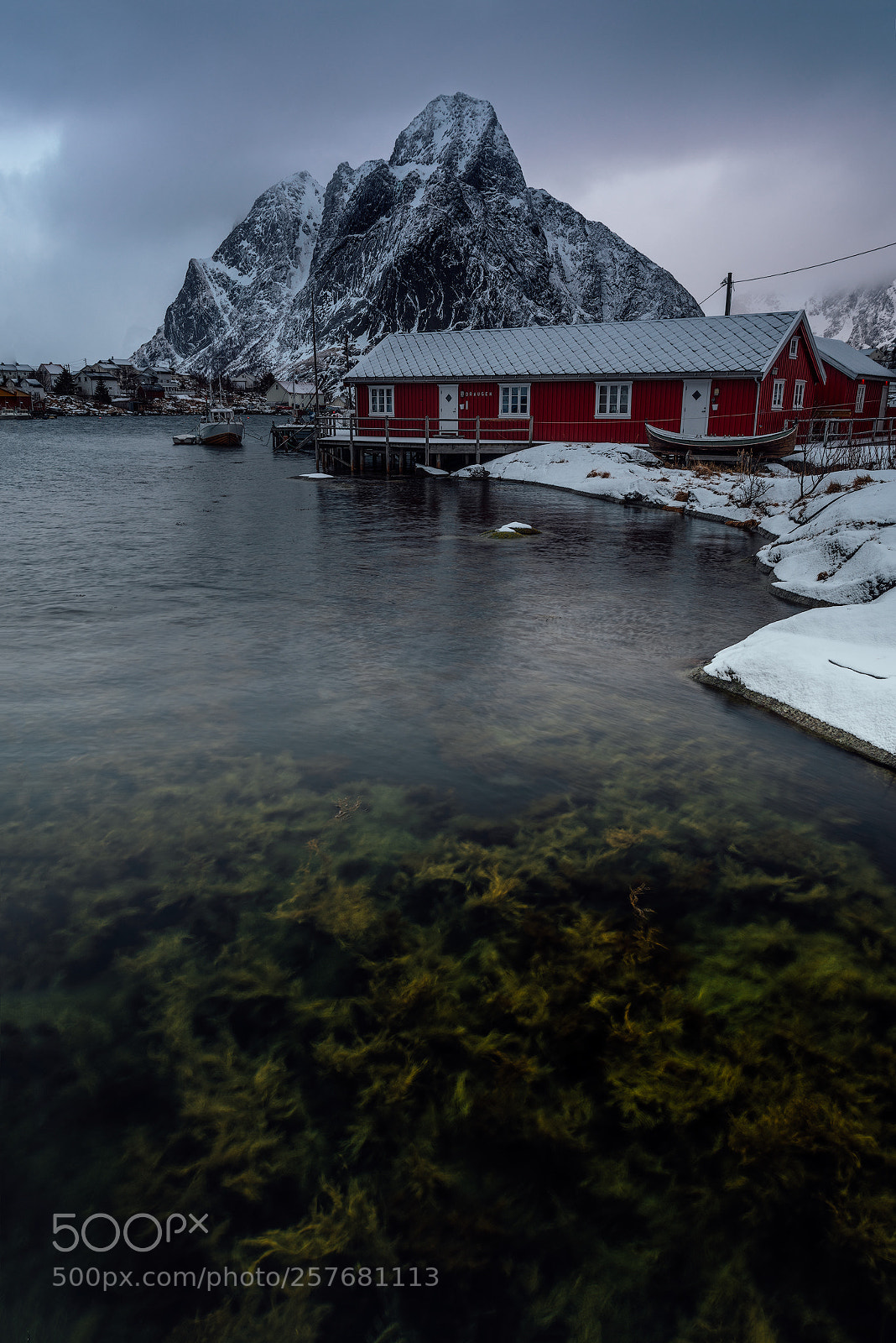 Nikon D850 sample photo. Gloomy morning photography