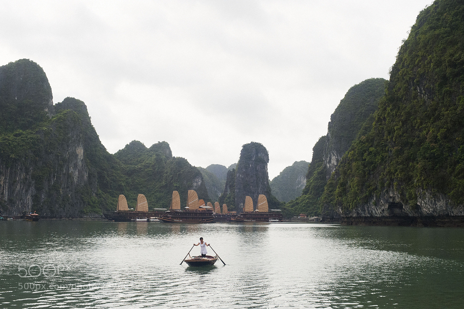 Nikon D700 sample photo. Rowing in halong bay photography