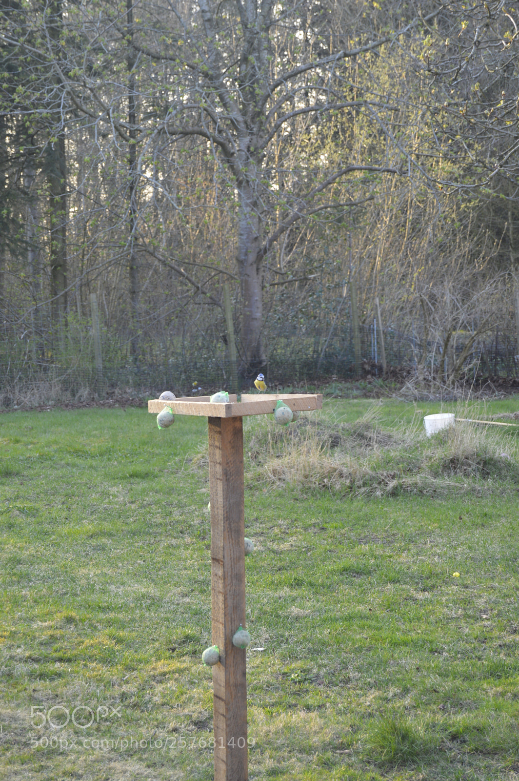 Nikon D3200 sample photo. Skøn natur photography