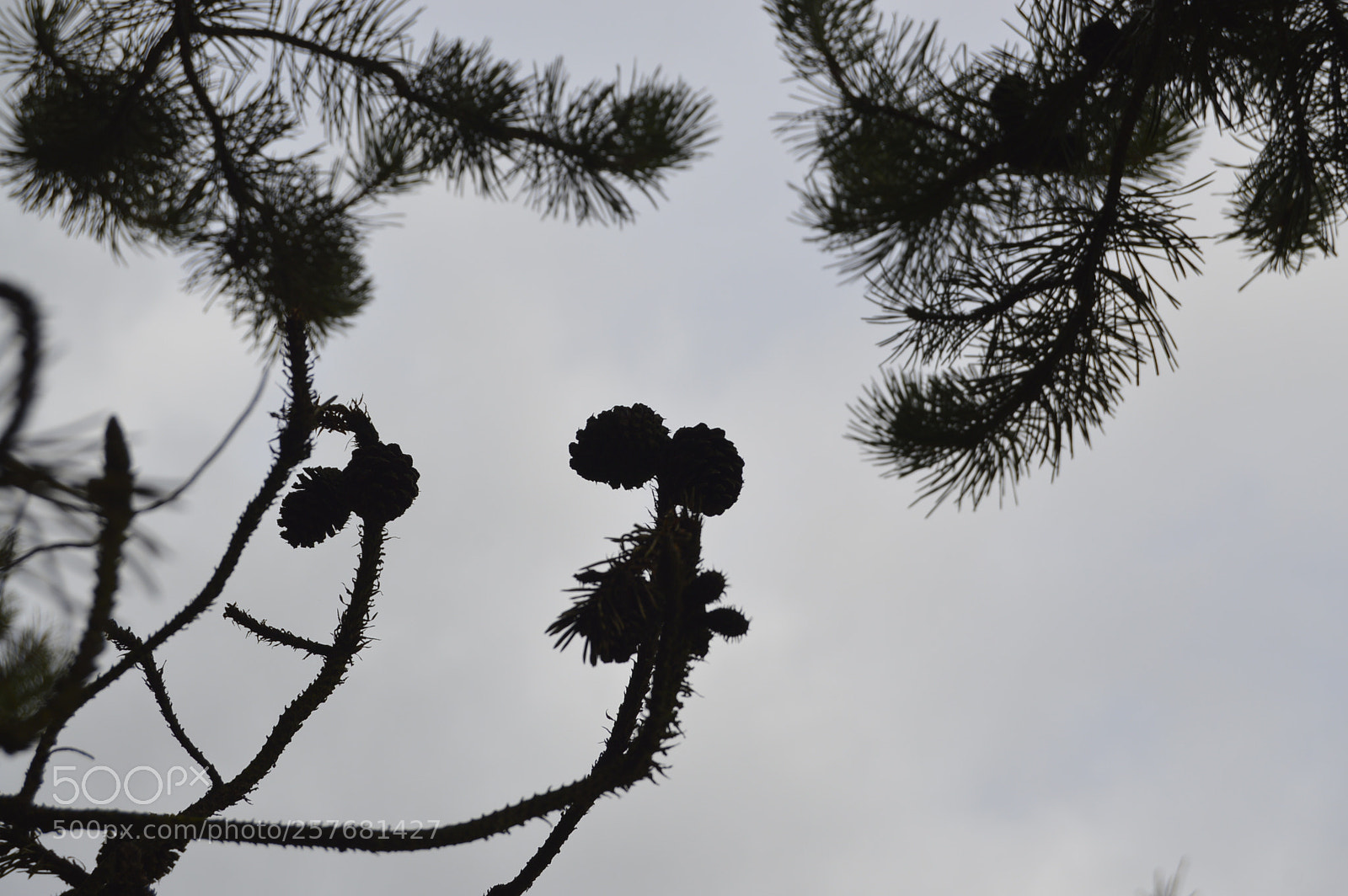 Nikon D3200 sample photo. Skøn natur photography