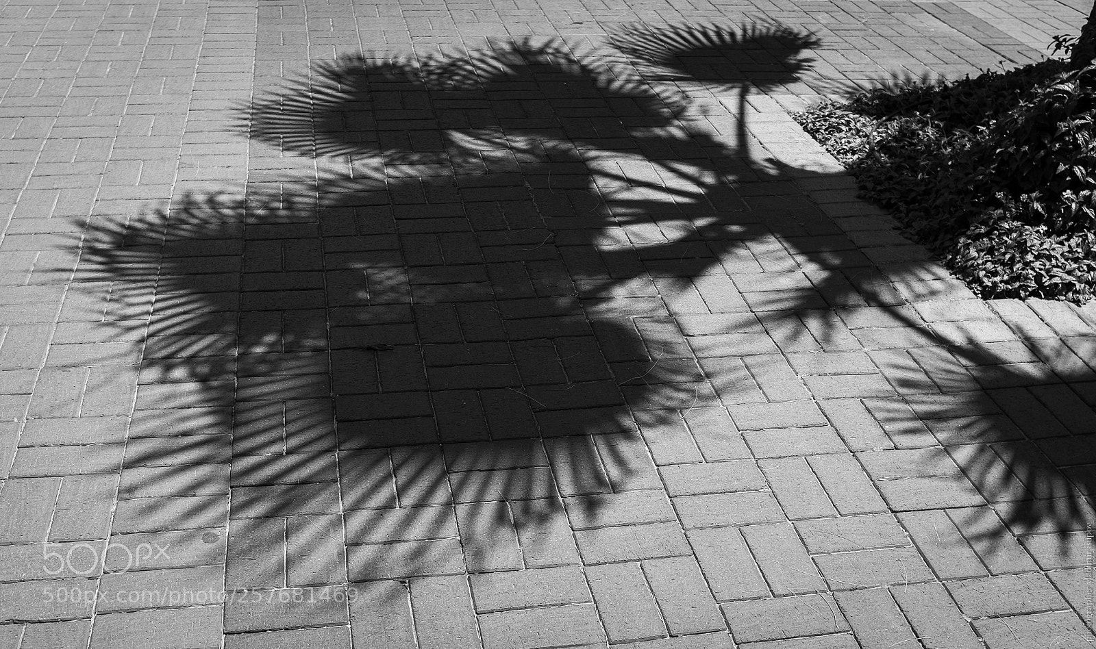 Fujifilm X100S sample photo. Алания photography