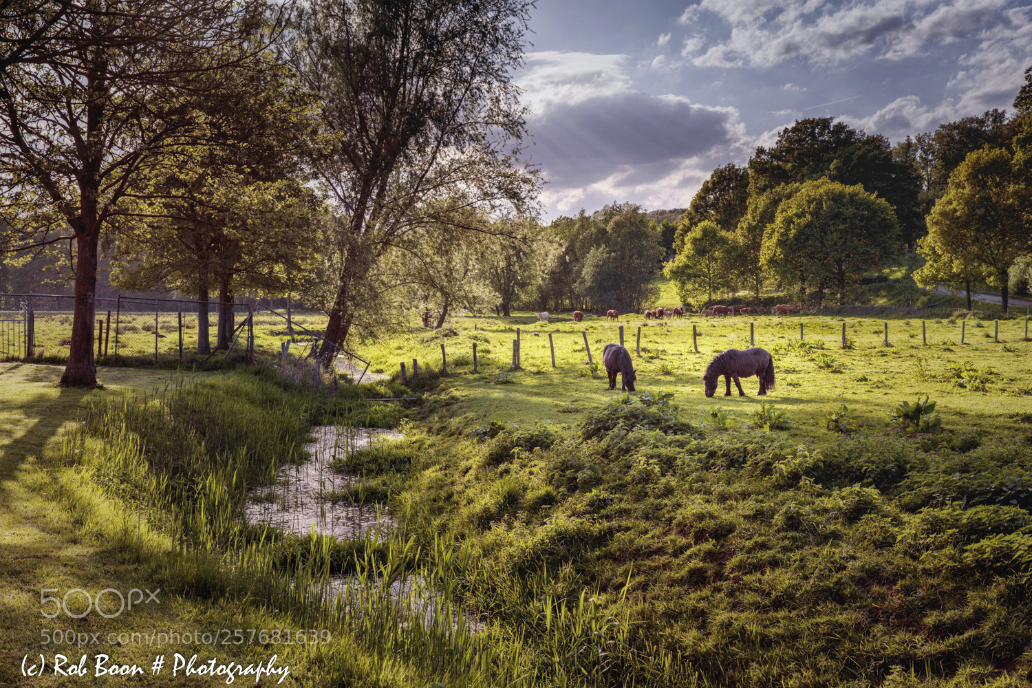 Canon EOS 5DS sample photo. Terborgh @ schinnen 4 photography