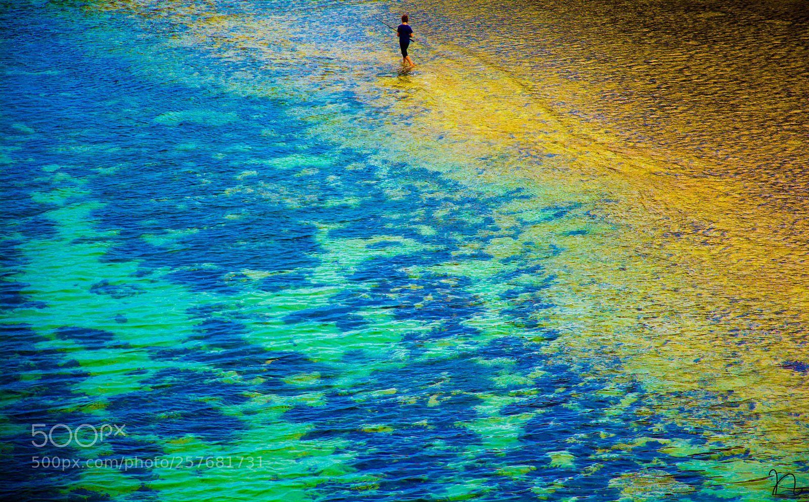 Nikon D7100 sample photo. Golden blues photography