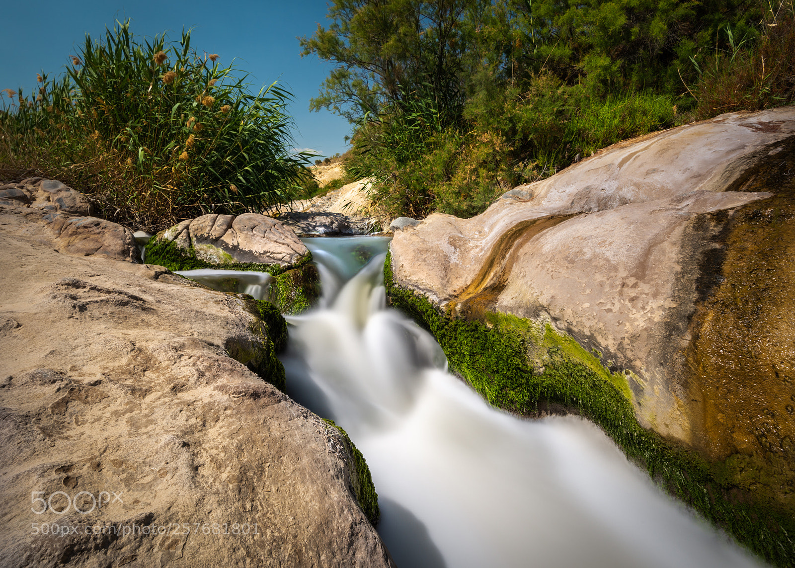 Nikon D810 sample photo. Silky vinalopó photography