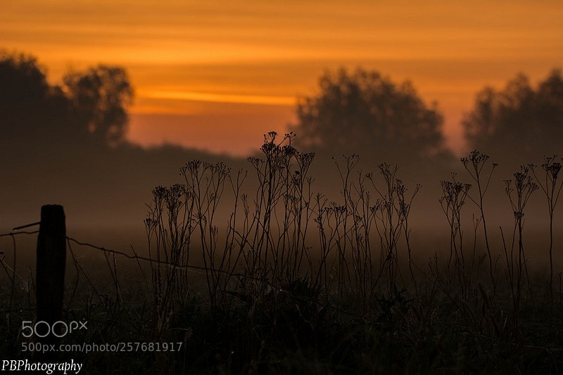 Nikon D7100 sample photo. Sunrise photography