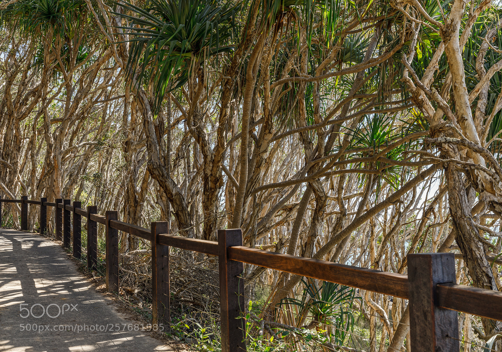 Canon EOS 5D Mark IV sample photo. Noosa national park photography
