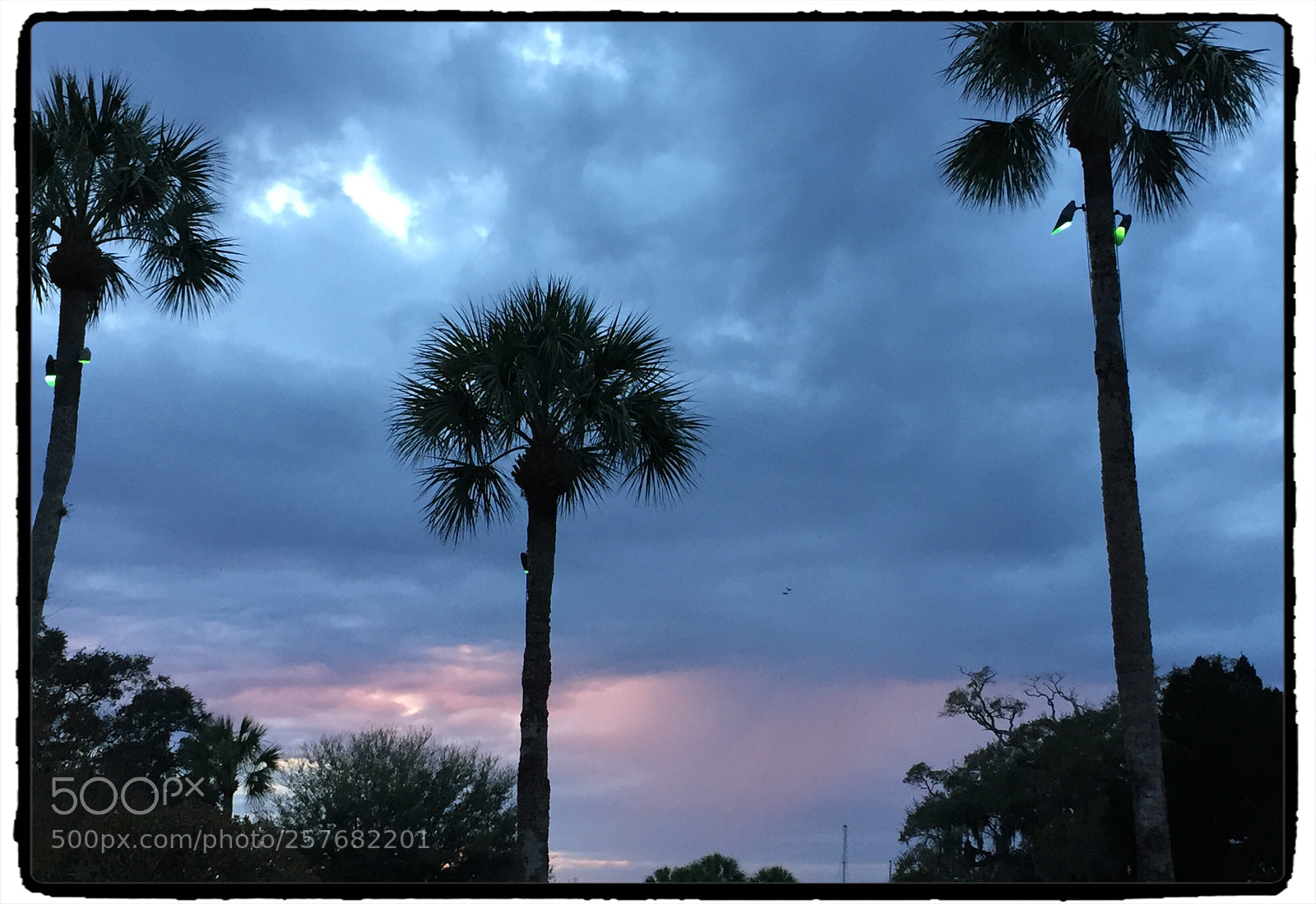 Apple iPhone 6 sample photo. Sunset at jekyll photography
